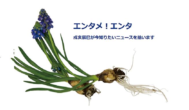 巨大さくらんぼやまがた紅王とは？どこで買える？いくら？佐藤錦と比較『ケンミンSHOW』